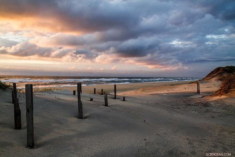 Economic Analysis Confirms Off‑Road Vehicle Restrictions Benefit National Seashores More Than They Cost