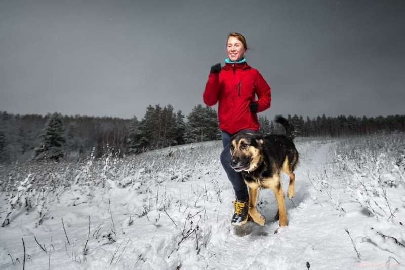 Get Fit with Your Dog: A Perfect New Year’s Resolution Partner