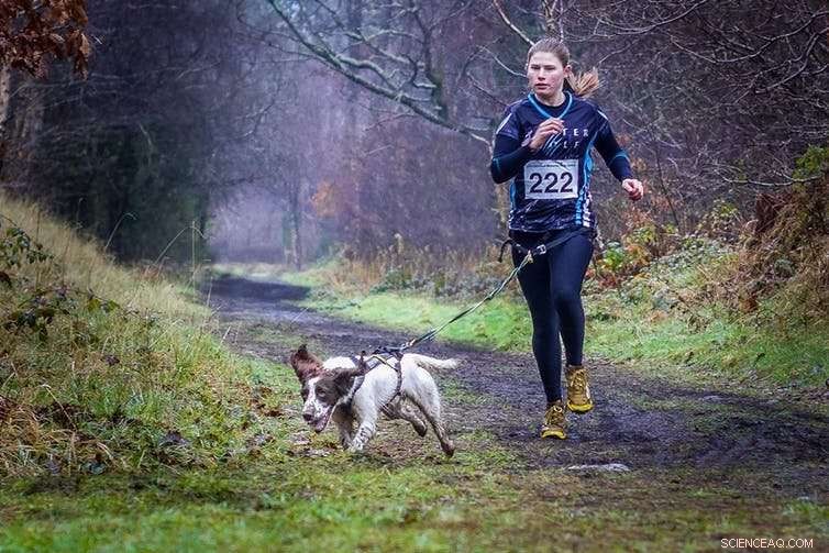 Get Fit with Your Dog: A Perfect New Year’s Resolution Partner