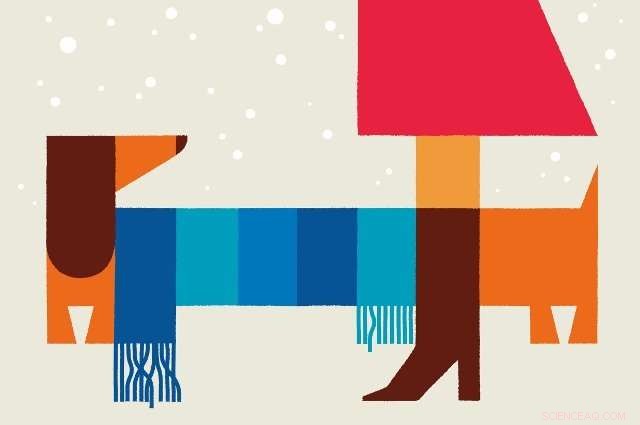 How to Safeguard Your Dog During Winter: Protecting Against Cold, Ice, Salt, and Deicers