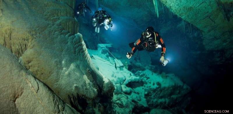 Scientists Explore Hundreds of Underwater Caves to Discover New Life Forms