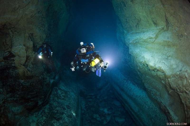 Scientists Explore Hundreds of Underwater Caves to Discover New Life Forms