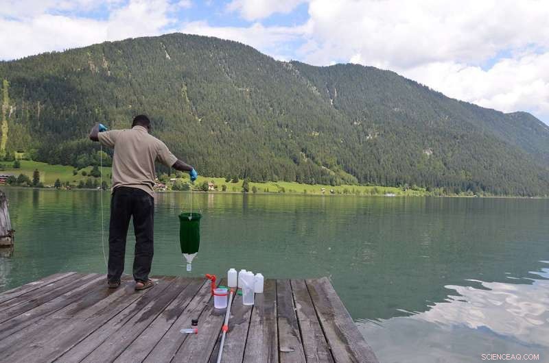 Pan‑European Study Reveals Vast Diversity of Freshwater Plankton Through eDNA Analysis
