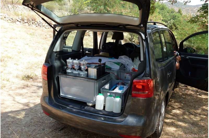 Pan‑European Study Reveals Vast Diversity of Freshwater Plankton Through eDNA Analysis