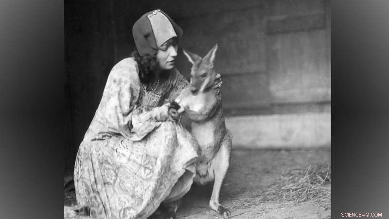 Exotic Animals and the Gold Rush: Hidden Stories from 19th Century California