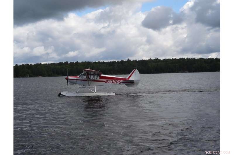 Protecting Bald Eagle Nests Boosts Reproduction in Minnesota’s Voyageurs National Park