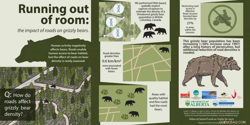 How Closing Roads Reduces Habitat Loss and Protects Grizzly Bears