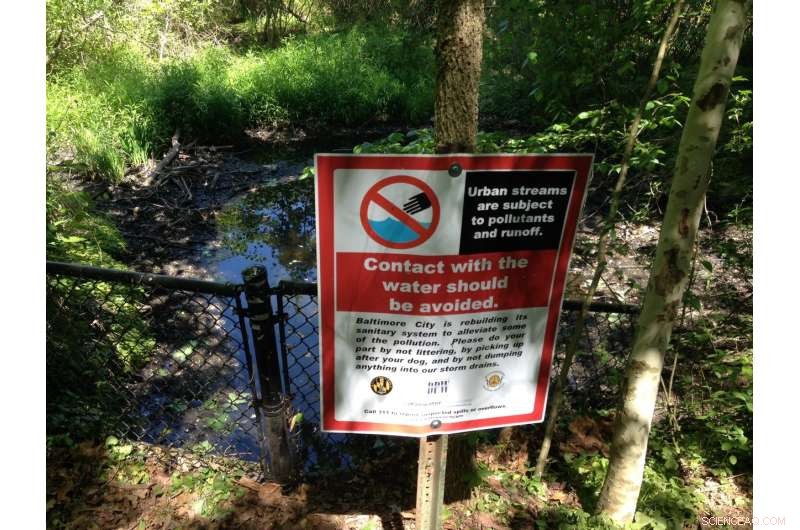 Urban Stream Pollution from Pharmaceuticals Spurs Microbial Resistance