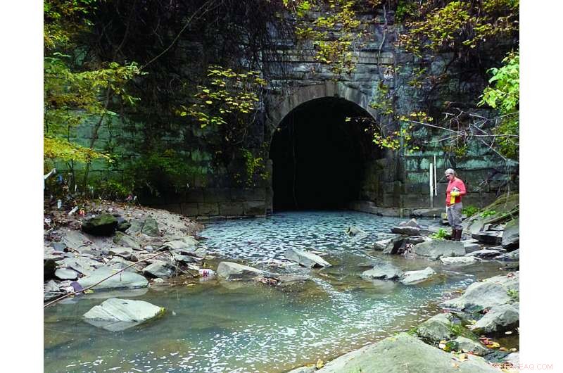 Urban Stream Pollution from Pharmaceuticals Spurs Microbial Resistance