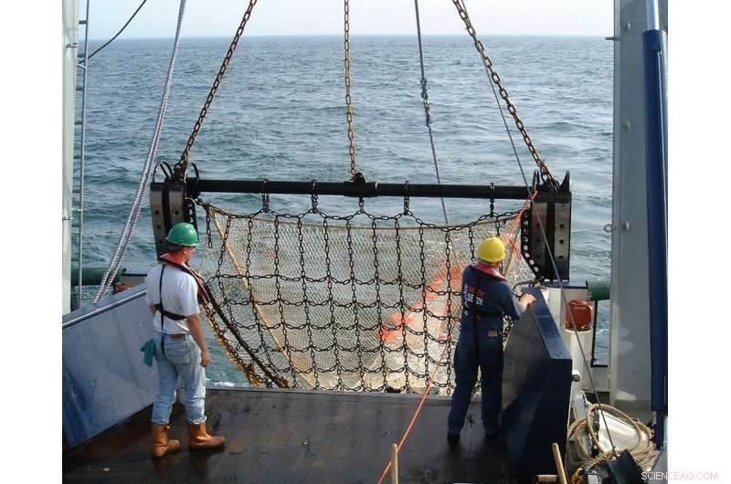 Comparing Electric Trawling vs. Beam Trawlers: Which Method Minimizes Seabed Impact?