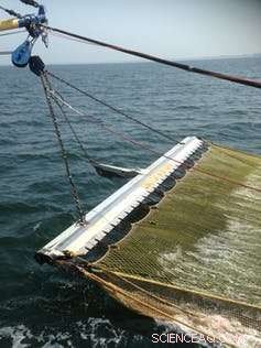 Comparing Electric Trawling vs. Beam Trawlers: Which Method Minimizes Seabed Impact?