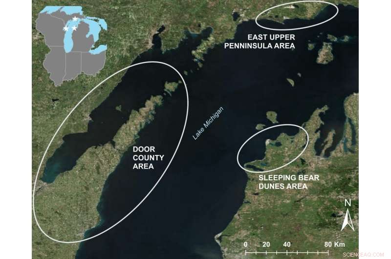 Lake Michigan Botulism Outbreak Linked to Rising Temperatures and Algae Blooms