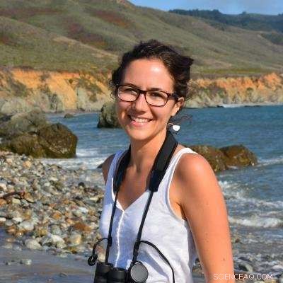 Lake Michigan Botulism Outbreak Linked to Rising Temperatures and Algae Blooms