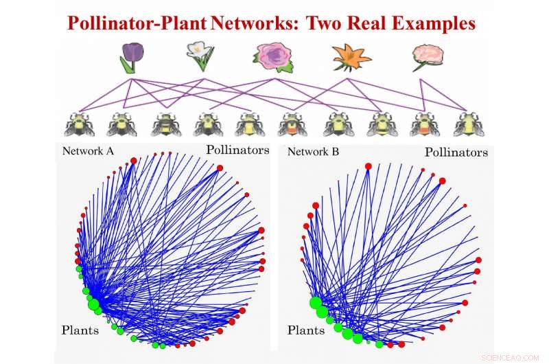 Innovative Tipping-Point Model Reveals Key Insights Into Declining Bee Populations