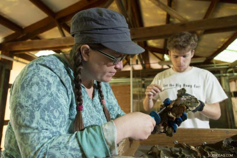 How Climate Change Alters Parasite–Host Dynamics: New Findings