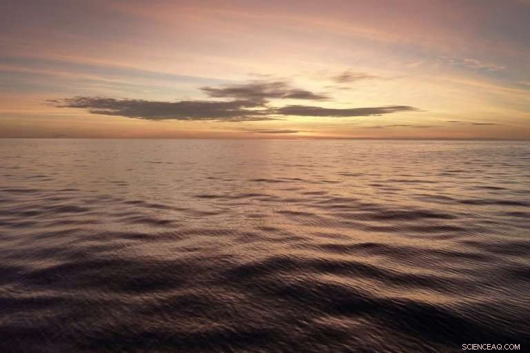 Leading European Chefs Ban Electric Pulse Fishing for Sustainable Seafood