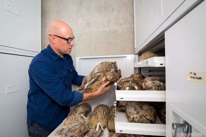 Illegal Marijuana Operations Endanger Spotted Owls with Rat Poison in Northwest California