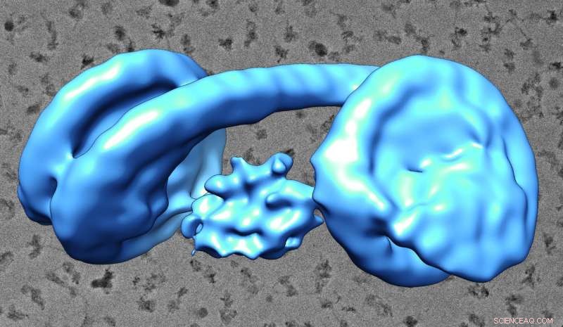 Unveiling the Nanoscopic Lock: How Chromatin Shapes Gene Function
