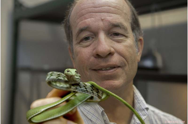 New Study Reveals How Snakes Move Straight, Uncovering a Hidden Superpower