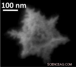 Graphene Serves as a Floating Molecular Platform for 24‑Carat Gold Snowflake Nanostructures
