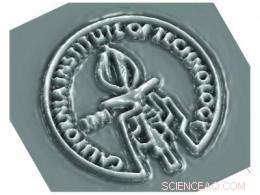 Caltech Researchers Unveil Physical Mechanism Behind Decade-Long Nanopillar Mystery