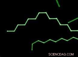 Researchers Create 2‑D and 3‑D Nanowire Structures by Bending Techniques