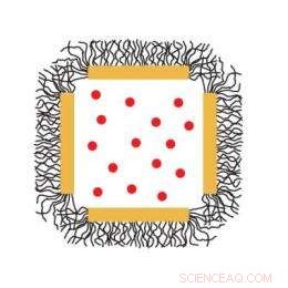 Gold Nanocage Polymer Coating for Smart Drug Delivery – Video Demo