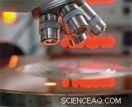 Metal Nanoparticles Found to Damage DNA Beyond Cell Barriers