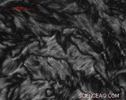 Revolutionary Method Enables Large-Scale Production of Pure Carbon Nanotubes