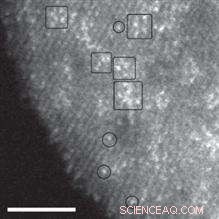 High‑Resolution Imaging of Catalysts: Capturing Single Atoms