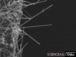 Mechanical Properties of Silicon Nanowires: A Key to Advanced Nanodevices