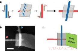 DNA Origami Nanoscale Breadboards Enable Carbon Nanotube Circuit Assembly