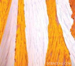 New Research Breaks Barriers for Advanced Organic Electronics