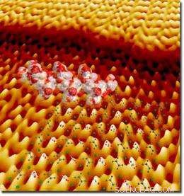 Peptides Regulate Crystal Growth: Precision Switches, Throttles, and Brakes