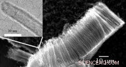 Carbon Nanotube Defects Boost Energy Storage Efficiency