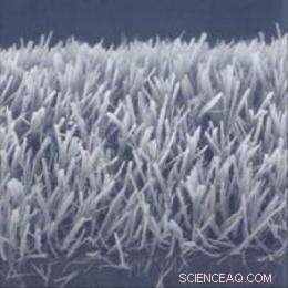 Self-Cleaning Nano-Window: A Revolutionary Coating for Windows and Solar Panels