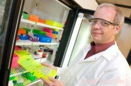 Air Force Center of Excellence Recognized for Nanostructure Innovations and Cognitive Enhancements