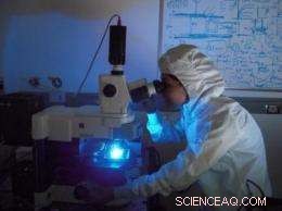 Yale s Magnetic Nanoparticle Technique Promises Faster, More Sensitive Disease Detection