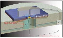 Boston University Engineers Cut DNA Sequencing Costs with Novel Nanopore Technology