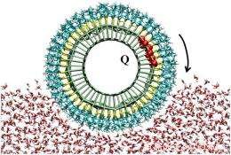 Electrically Powered Nanorod Demonstrates Water‑Surface Rolling