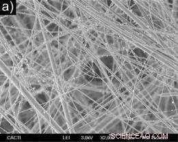 Advanced Bioactive Glass Nanofibers Developed for Bone Tissue Regeneration