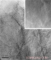 Enhancing Platinum Catalyst Stability: Innovative Carbon Support Boosts Fuel Cell Durability