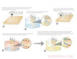 Thermochemical Nanolithography Enables Multi‑Chemical Patterning on a Single Chip