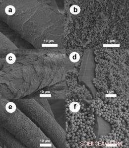 Chemistry Boosts Wool Quality: New Silica Nanoparticle Innovation