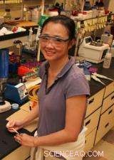 Nanoscience Breakthrough Promises Superior Electronics Performance