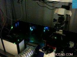 UMass Amherst Breaks New Ground with Ultra-Powerful Microscope Capable of Visualizing Individual Molecules