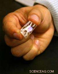 Revolutionary Energy‑Harvesting Rubber Sheets Power Pacemakers and Mobile Devices