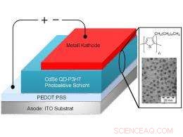 German Scientists Unveil Breakthrough Surface Treatment to Boost Hybrid Solar Cell Efficiency