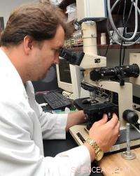 Marshall University Researchers Pioneer Bionanomotors for Molecular Transport