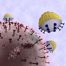 Engineers Develop Precision Nanoprobes for Targeted Cancer Detection and Therapy